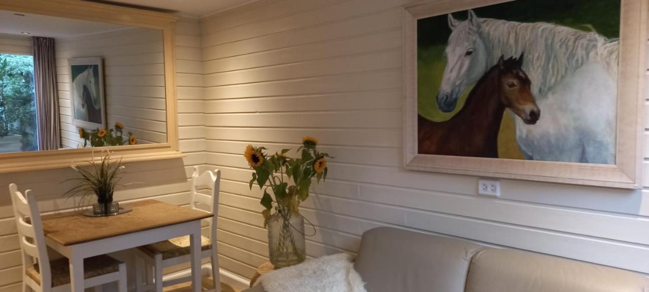 Chalet Le Papillon Zandvoort Extérieur photo